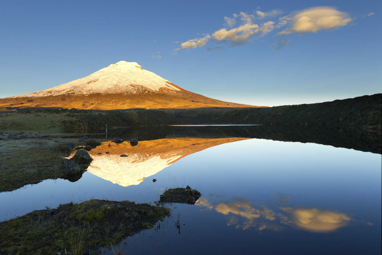 Reflet et cône parfait du Cotopaxi sur la lagune Limpiopungo en Equateur © iStock