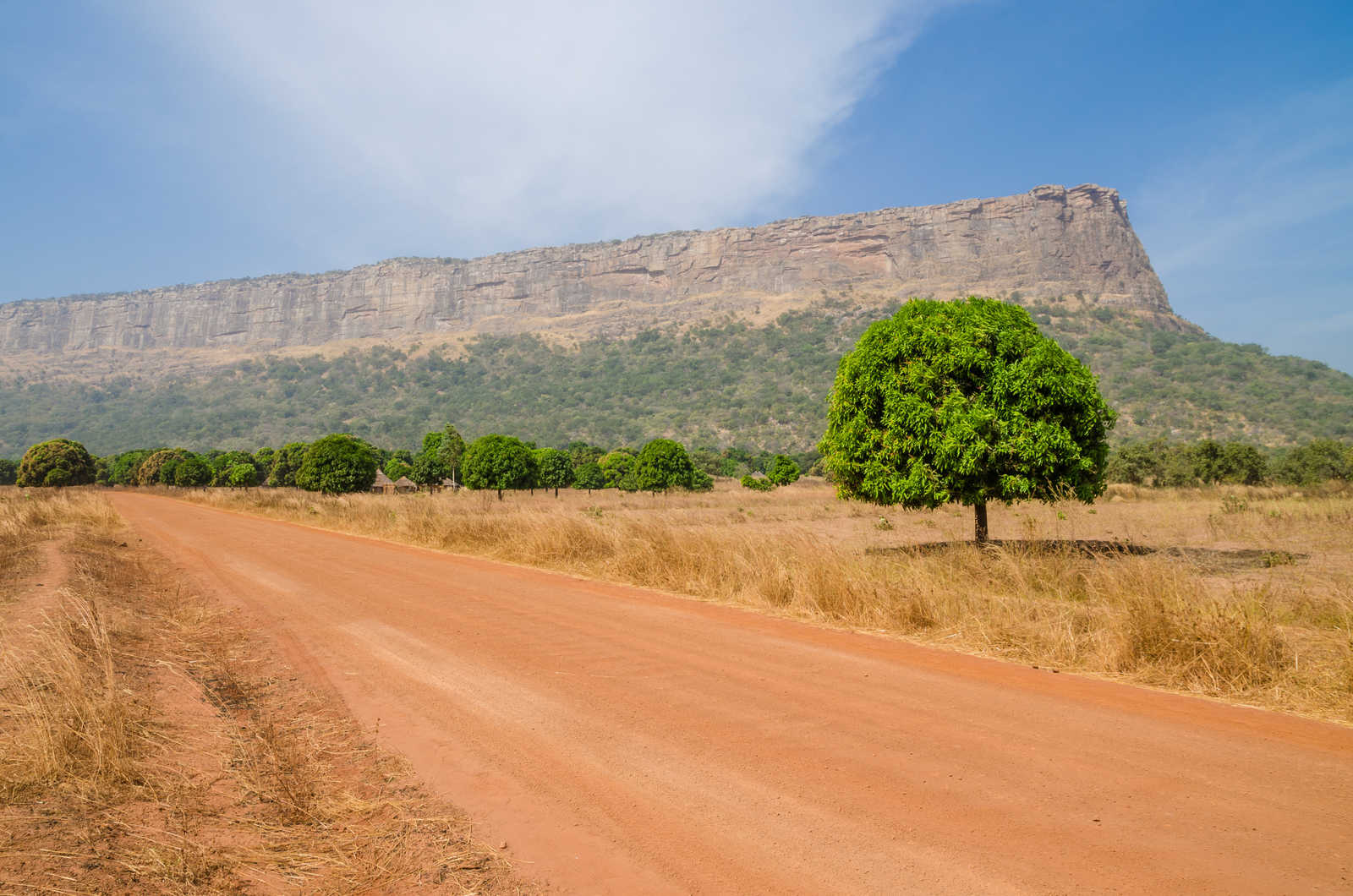 Région du Fouta Djalon en Guinée © Fabian Adobe Stock