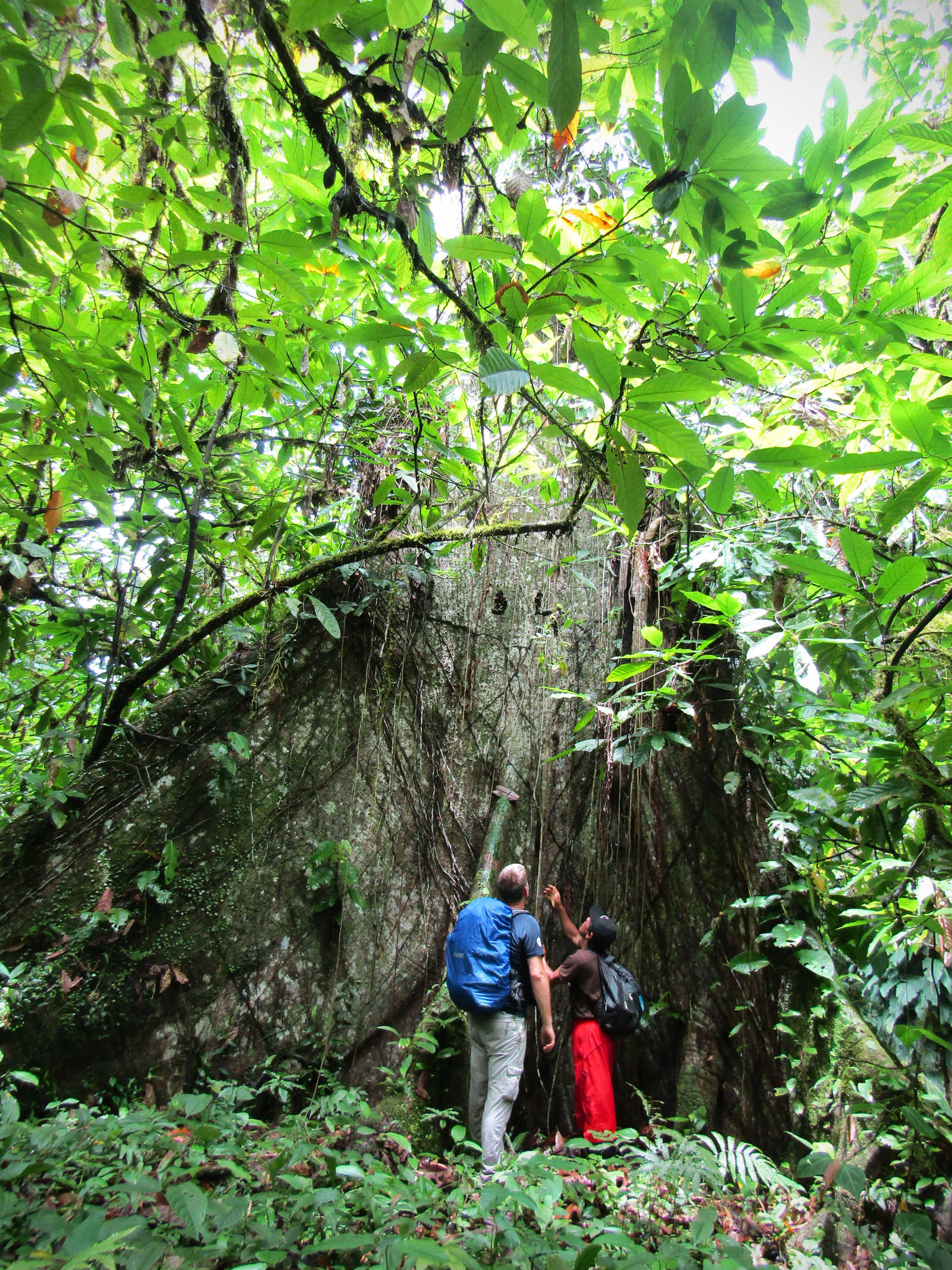Rencontre avec les Indiens Bribris au Costa Rica © Petin Olivier