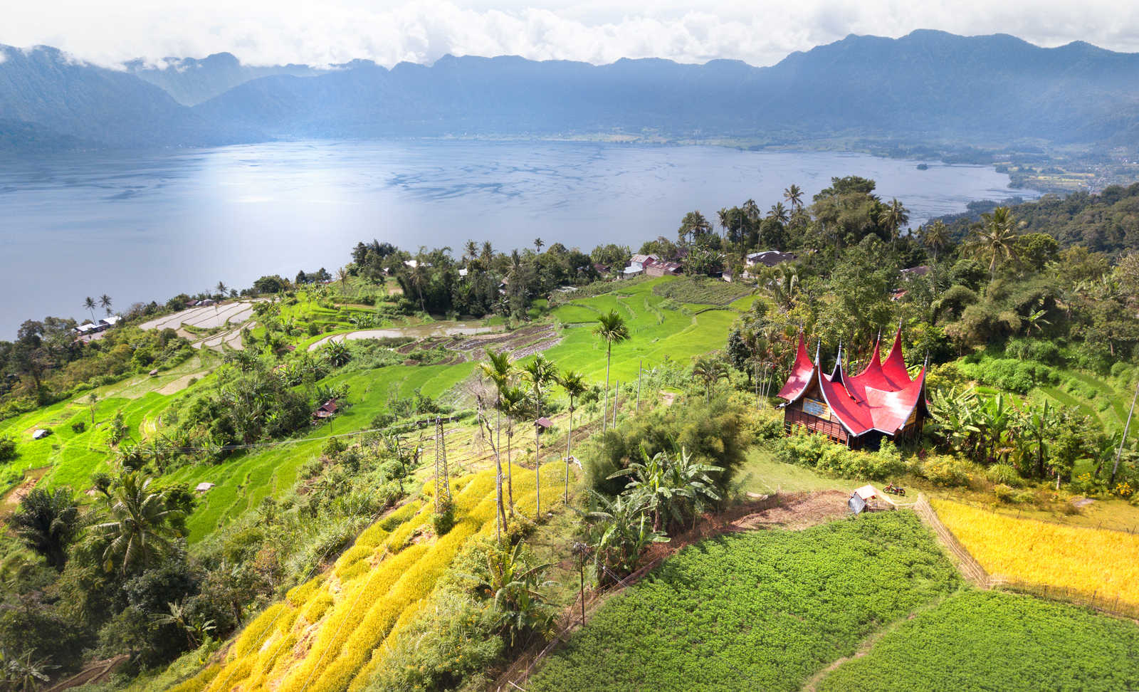 Rice field parts divided to plots by water channels and pathways,aerial shot, West Sumatra,Maninjau lake area,Indonesia © Glebstock