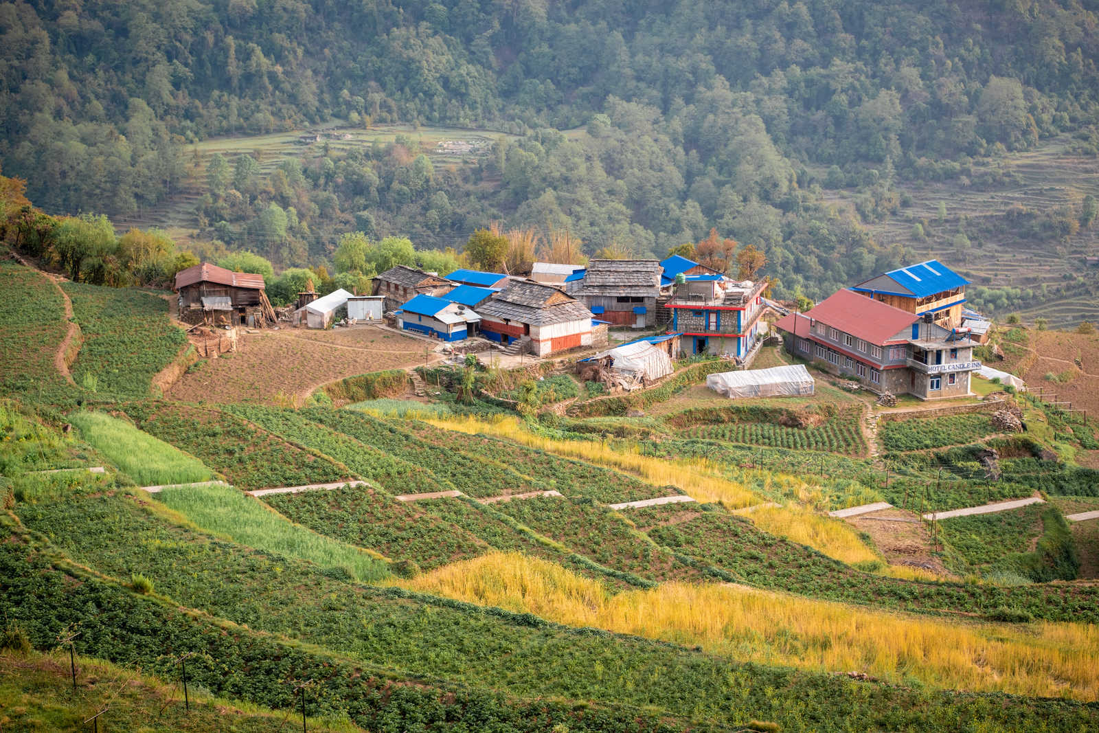 Rizières au dessus d'un village au Népal © Quillévéré Yann