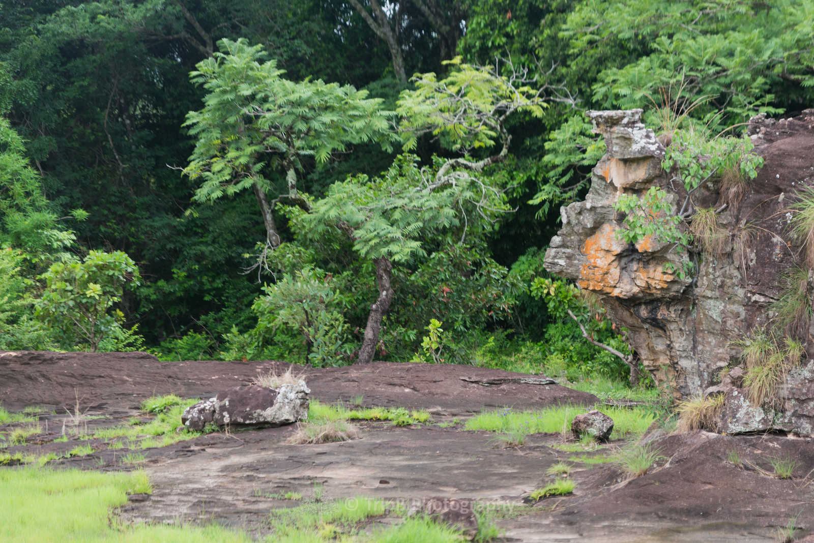 Rochers aux visages d'animaux félins et Nere trek fouta en Guinée © Tripb Photography