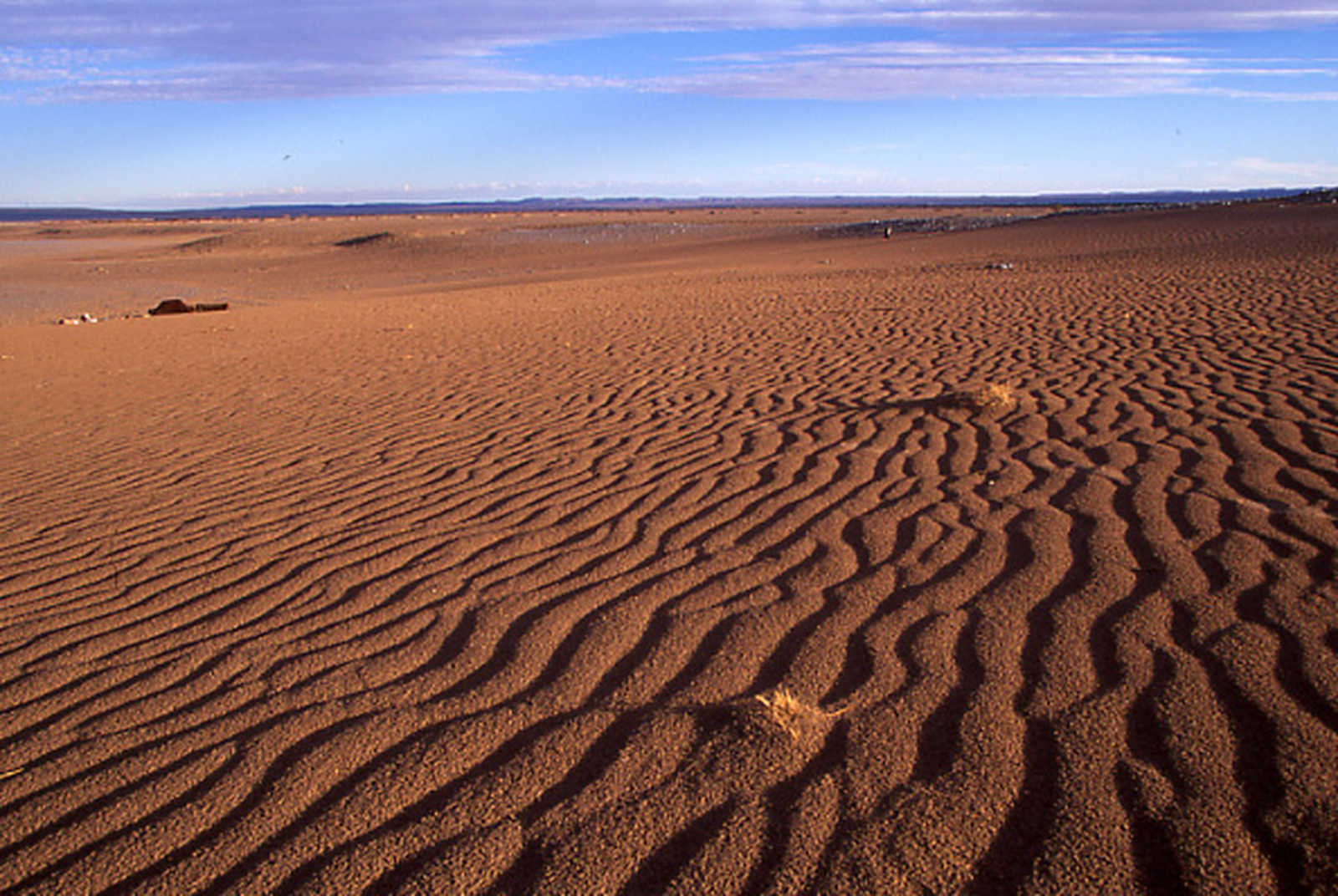 Image Oasis, dunes et jbel de Tazzarine