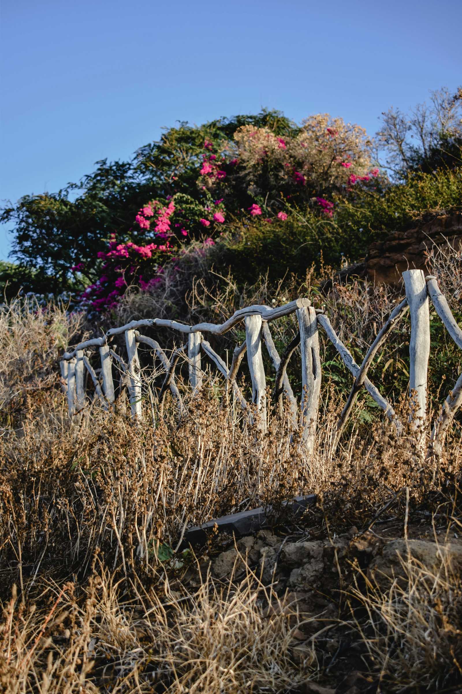 Sentier typique de Madère © Bronzini Eva