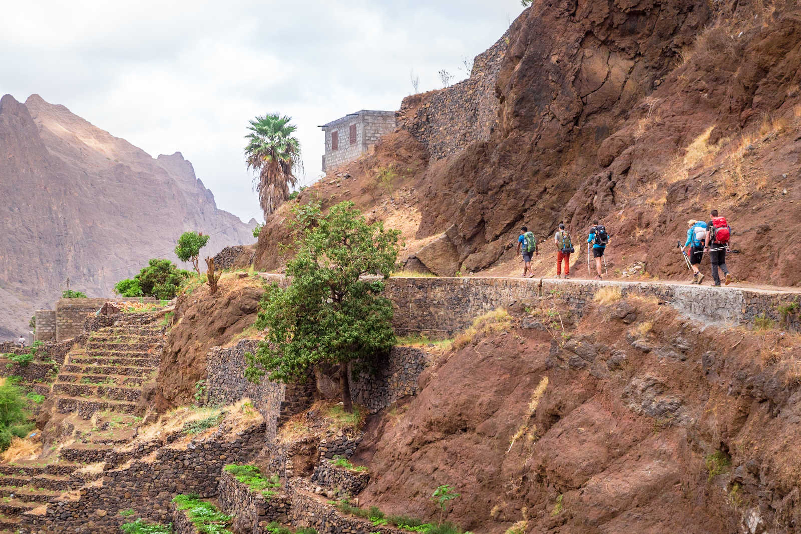 Sentiers en balcons et cultures en terrasses de Santo Antao © Sinssaine Bertrand