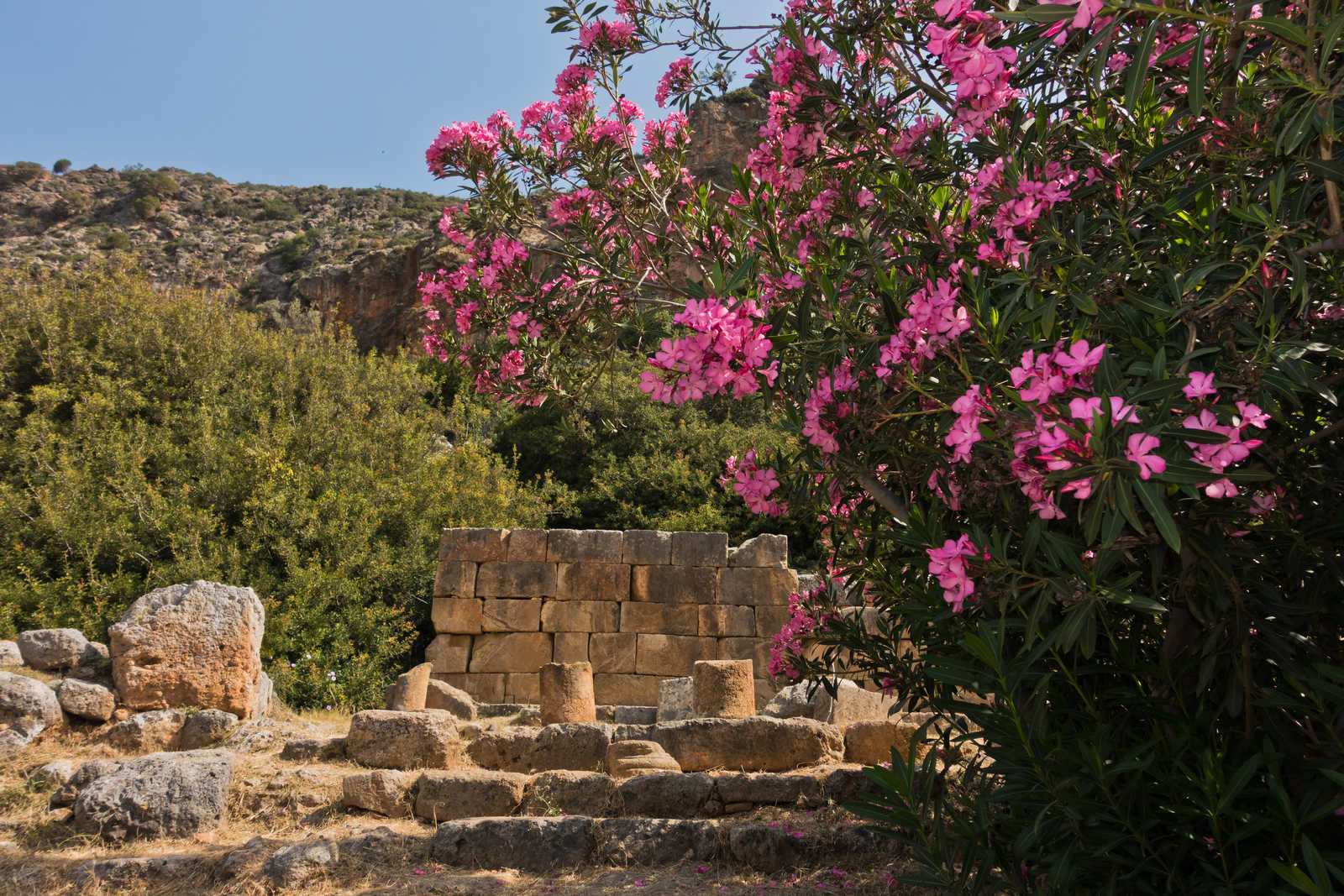 Site archéologique de Lissos © Banepetkovic