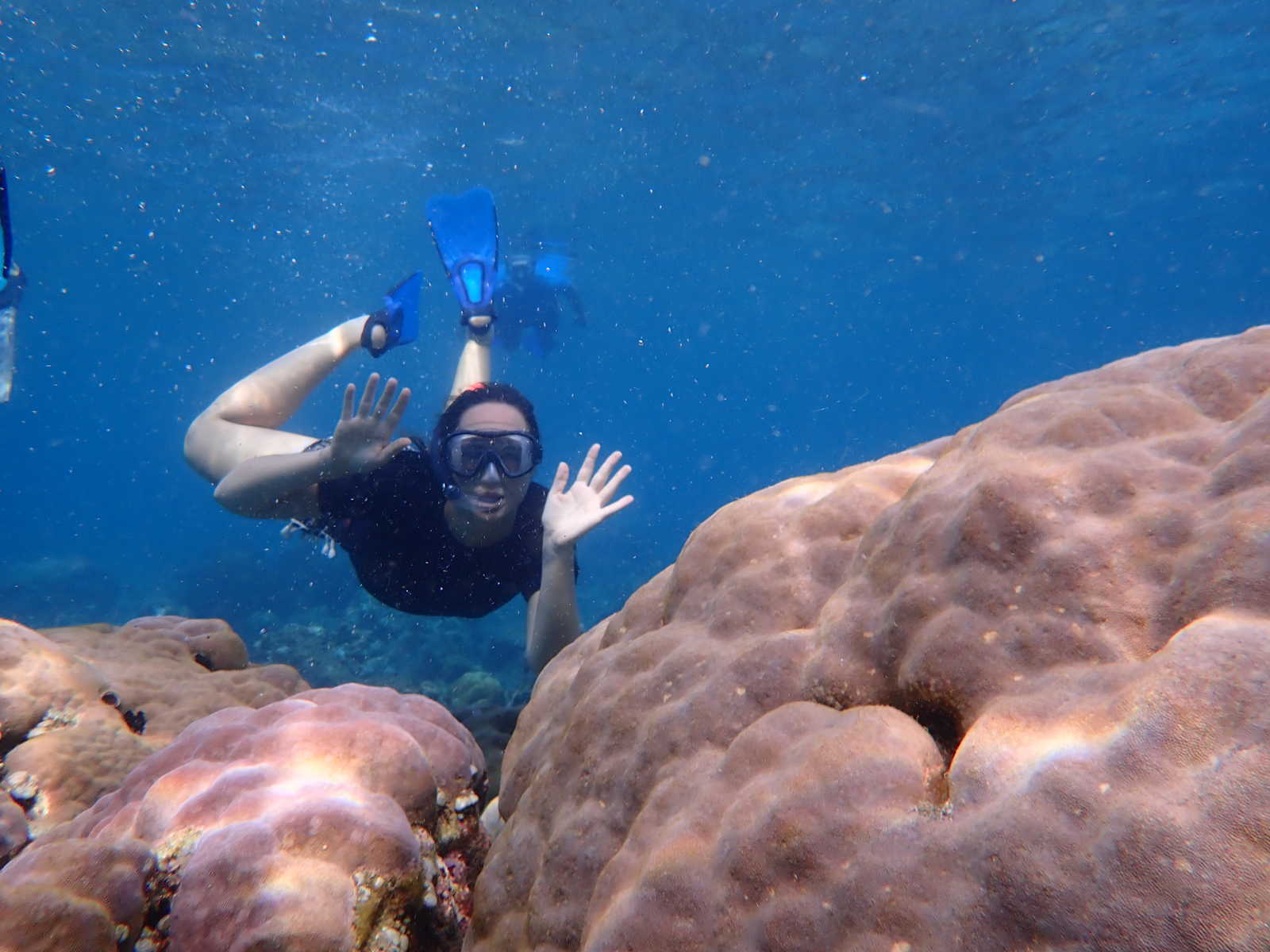 Snorkeling © Pigeon Candice