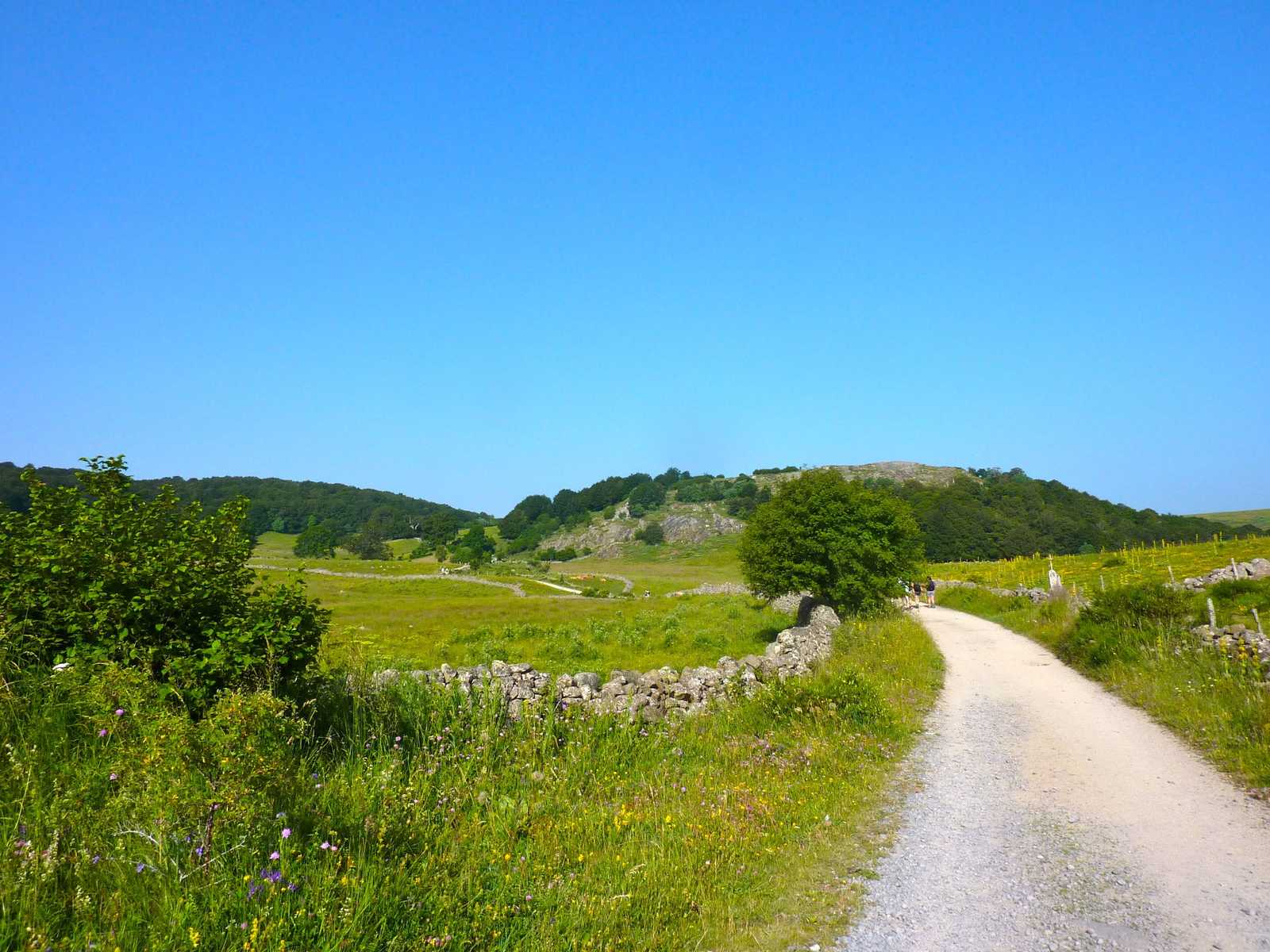 Image Le chemin de Saint Guilhem (nord)