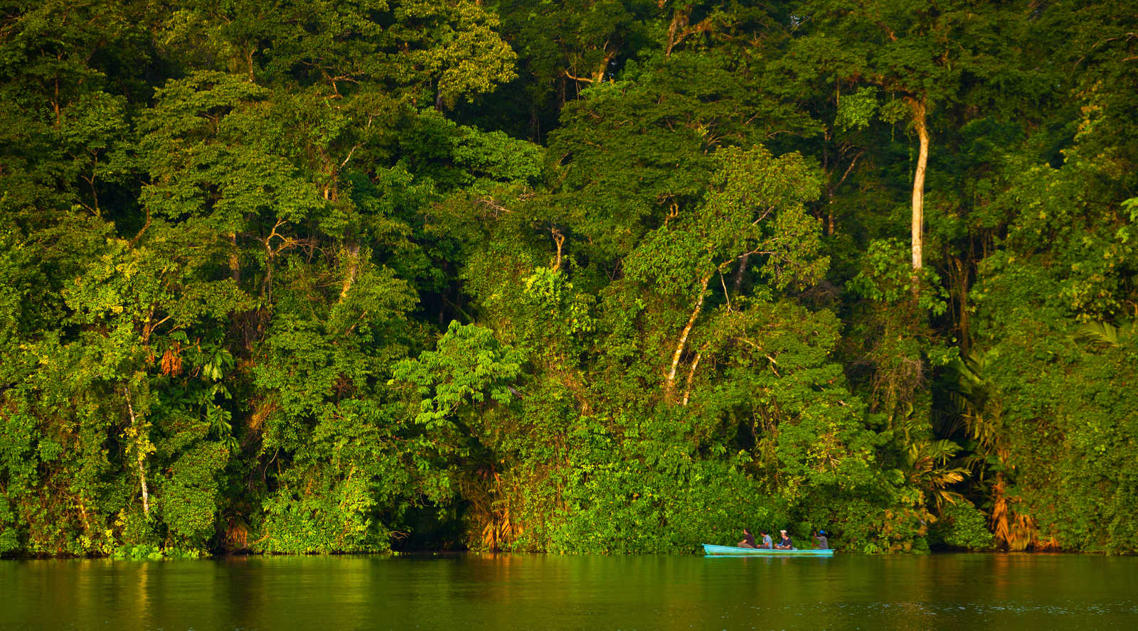 Sur les canaux de Tortuguero © Carlos Munoz Juan