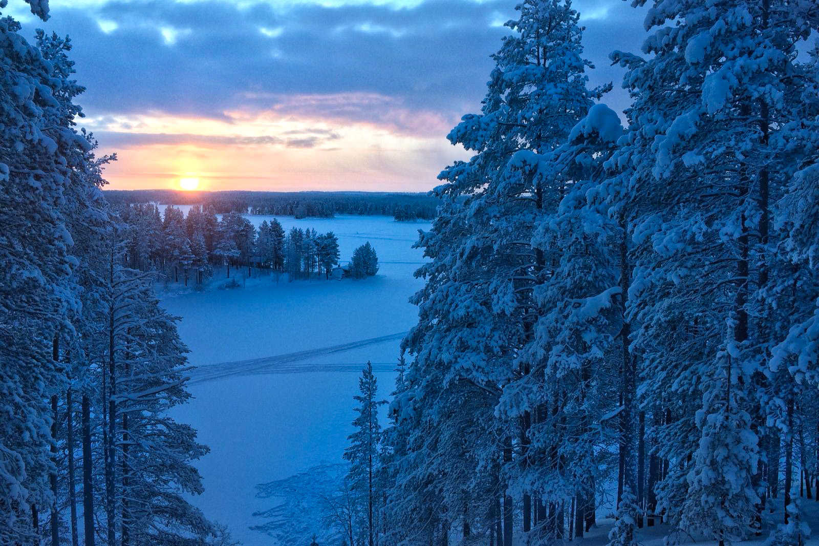 Taiga sous la neige de Finlande, Laponie © Yannick Long