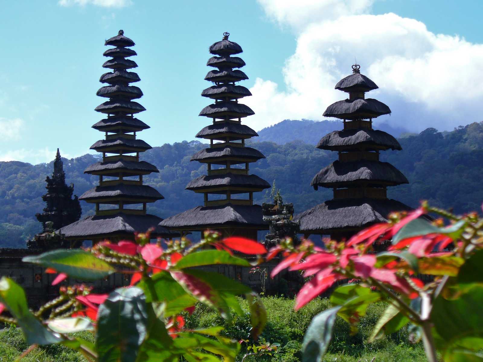 Image Trek au cœur de Bali