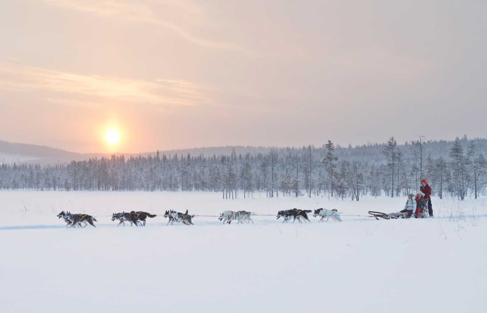 Traversée d'un lac gelé en traîneau à chiens en Laponie Suédoise © Visit Sweden