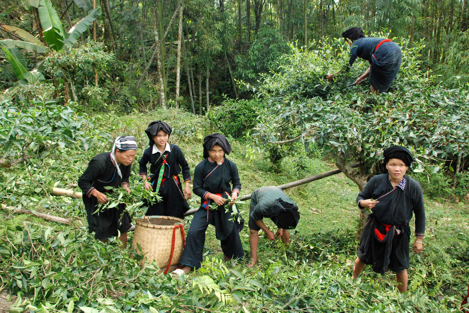 Trek chez les minorités du nord Vietnam © Coston Jean-Pierre