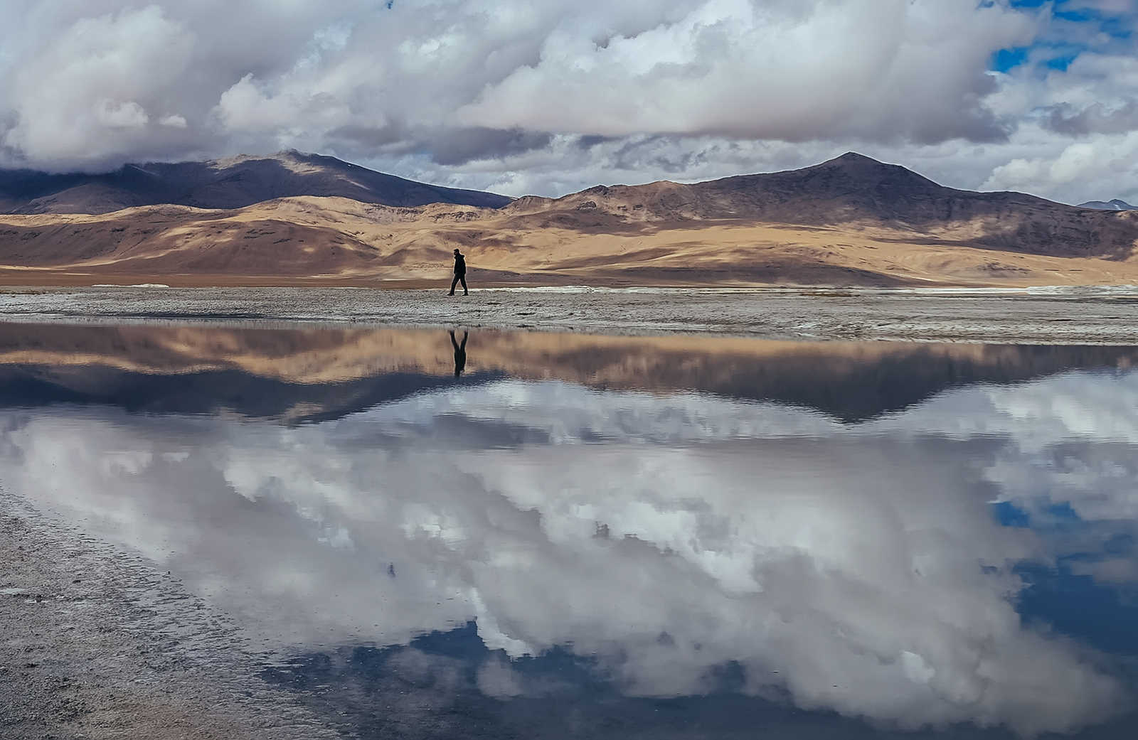Trekkeur sur les rives du lac Tso Kar, dans le Changtang, en Inde Himalayenne © Soloviova Liudmyla