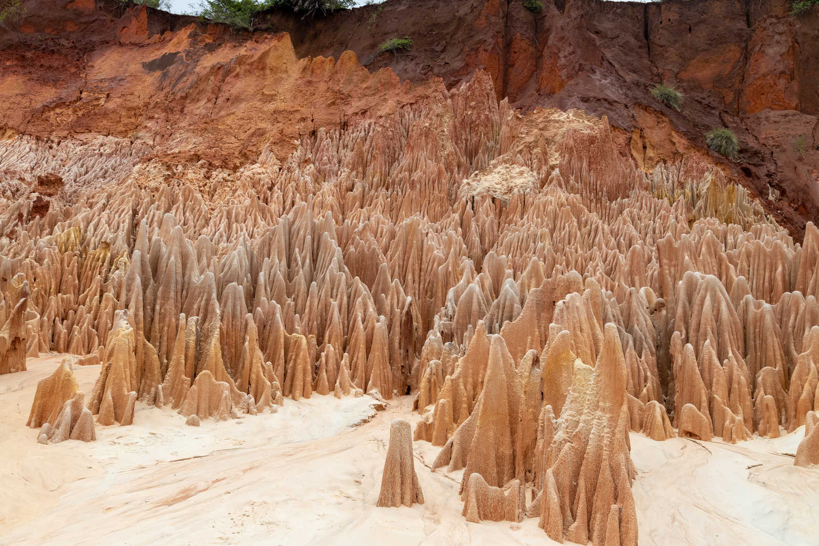 Tsingys rouges à Madagascar © Reiner