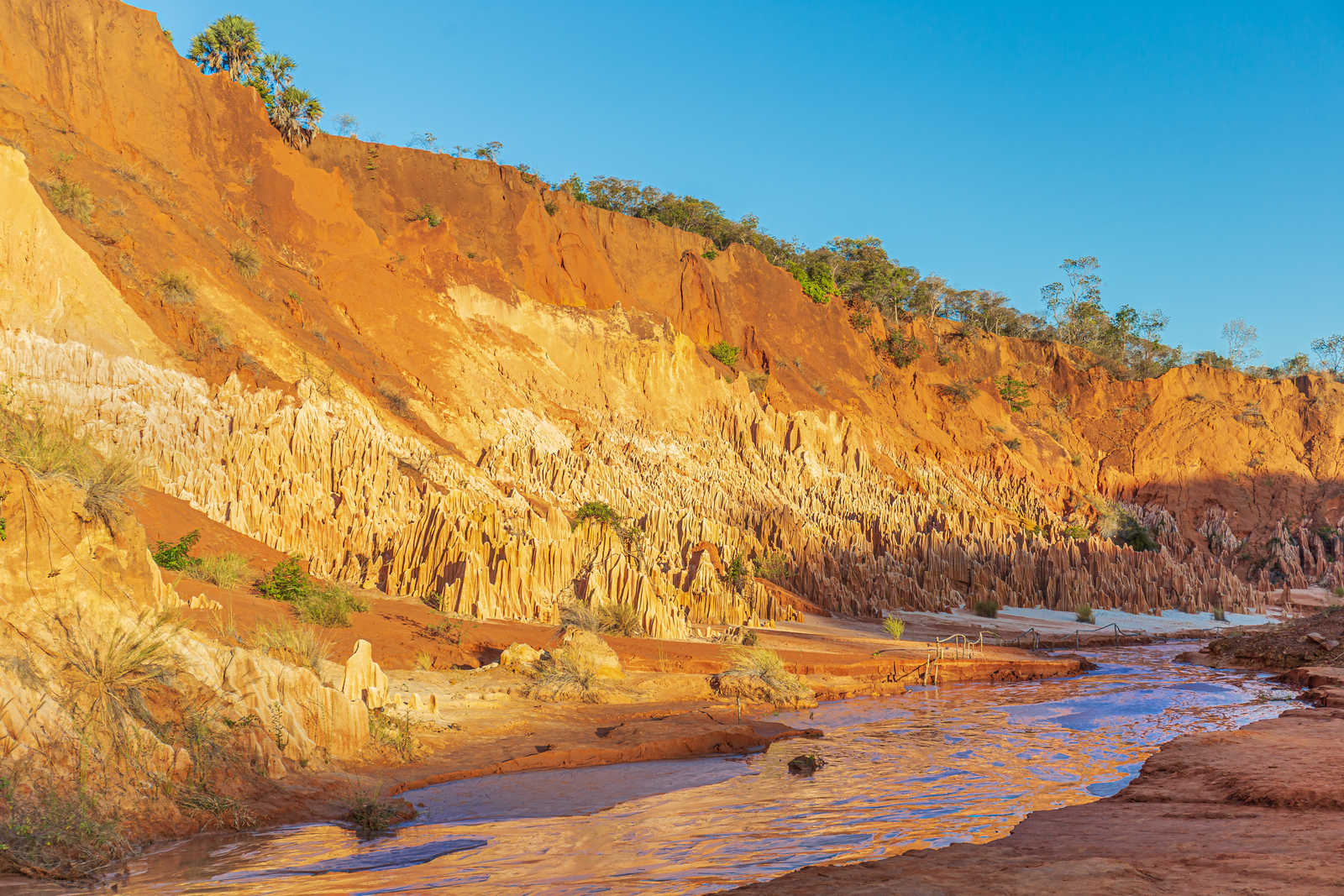 Tsingys rouges de Madagascar © Picturellarious