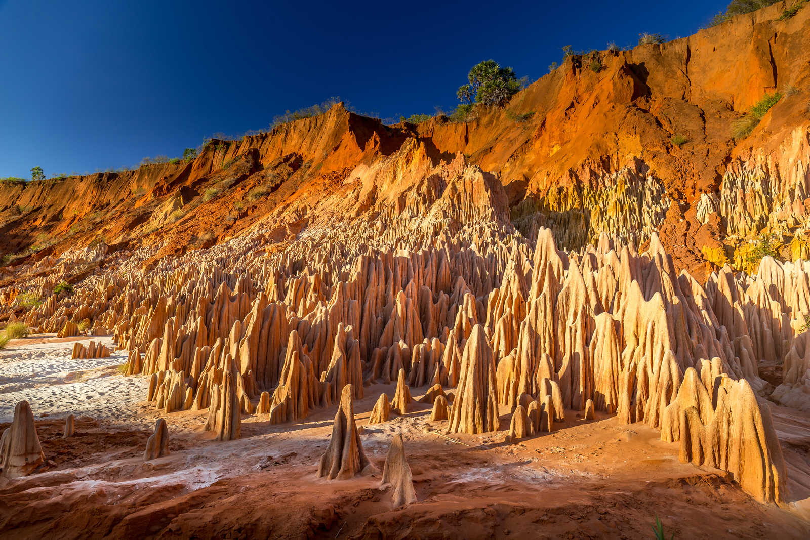 Tsingys Rouges de Madagascar © Picturific