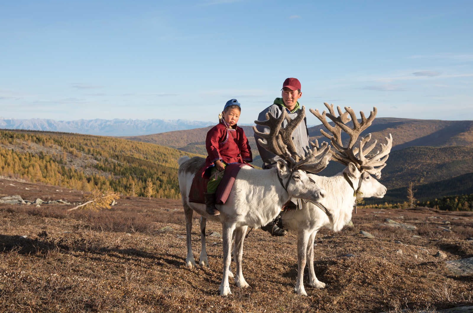 Un homme et son fils et leurs rennes en Mongolie © Katiekk2