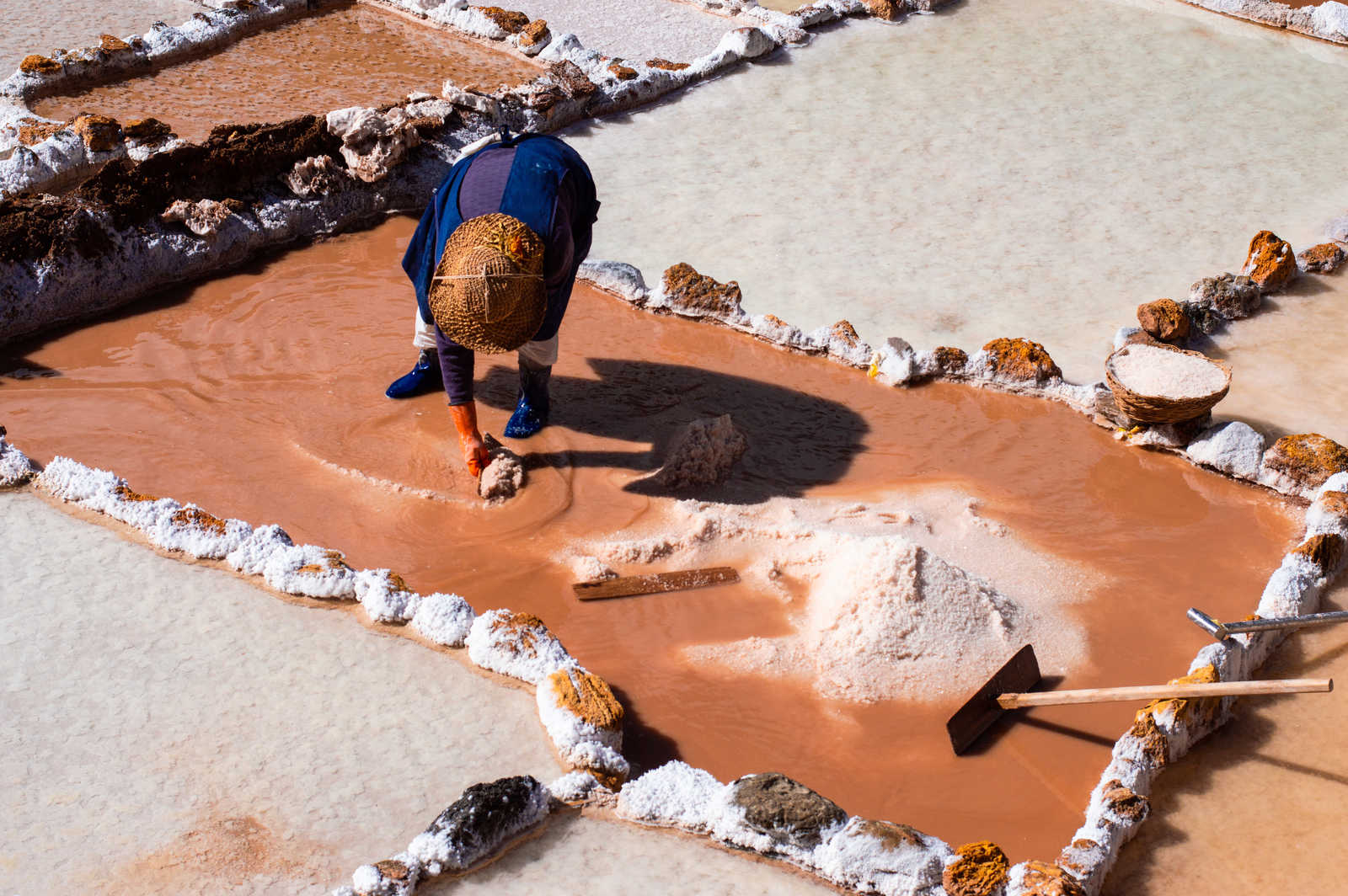 Récolte traditionnelle du sel aux salines de Maras, Pérou © Flavio