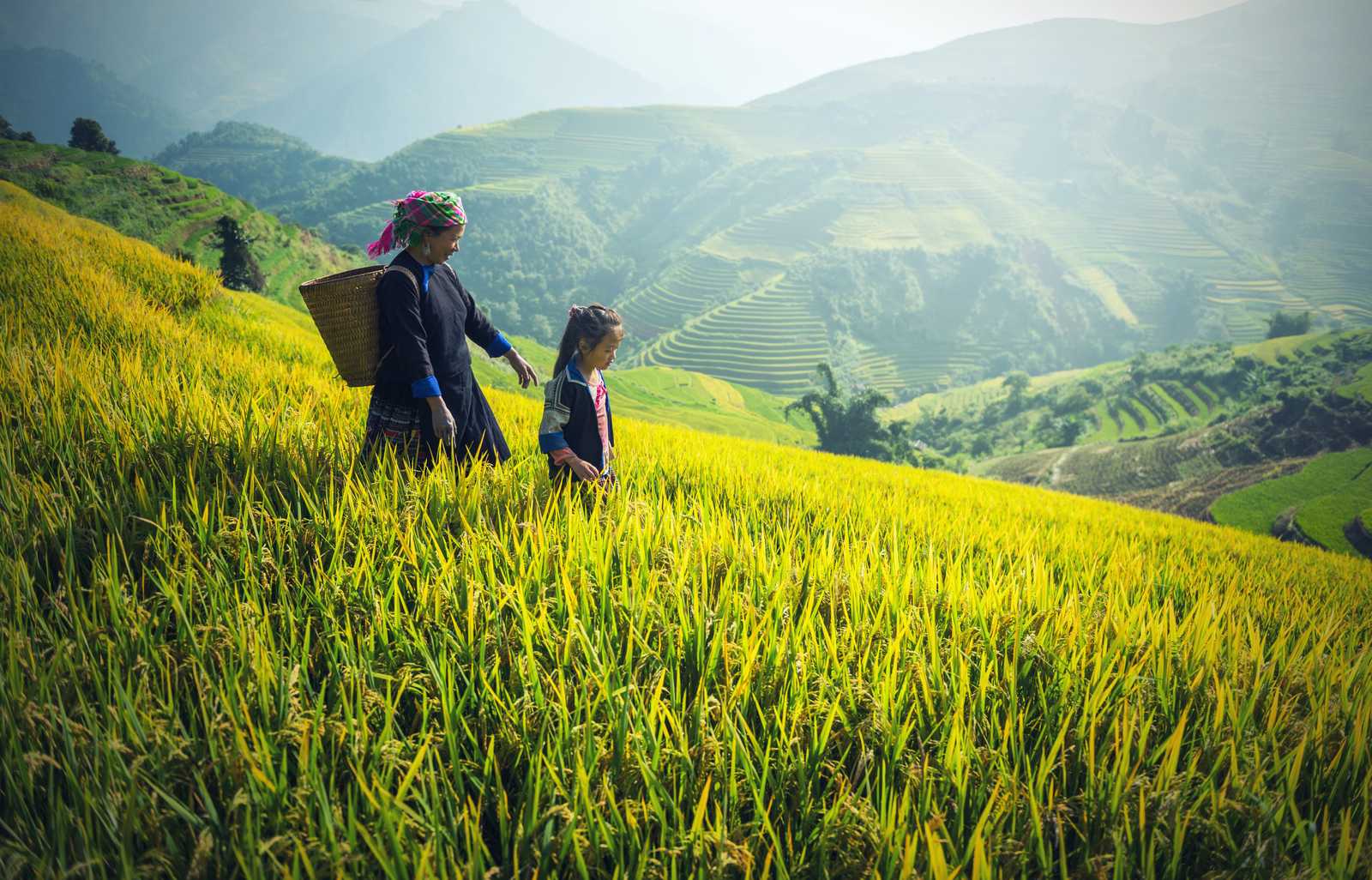 Une femme et une fille dans les rizières de Ha Giang au Vietnam © Tipchai Sasin