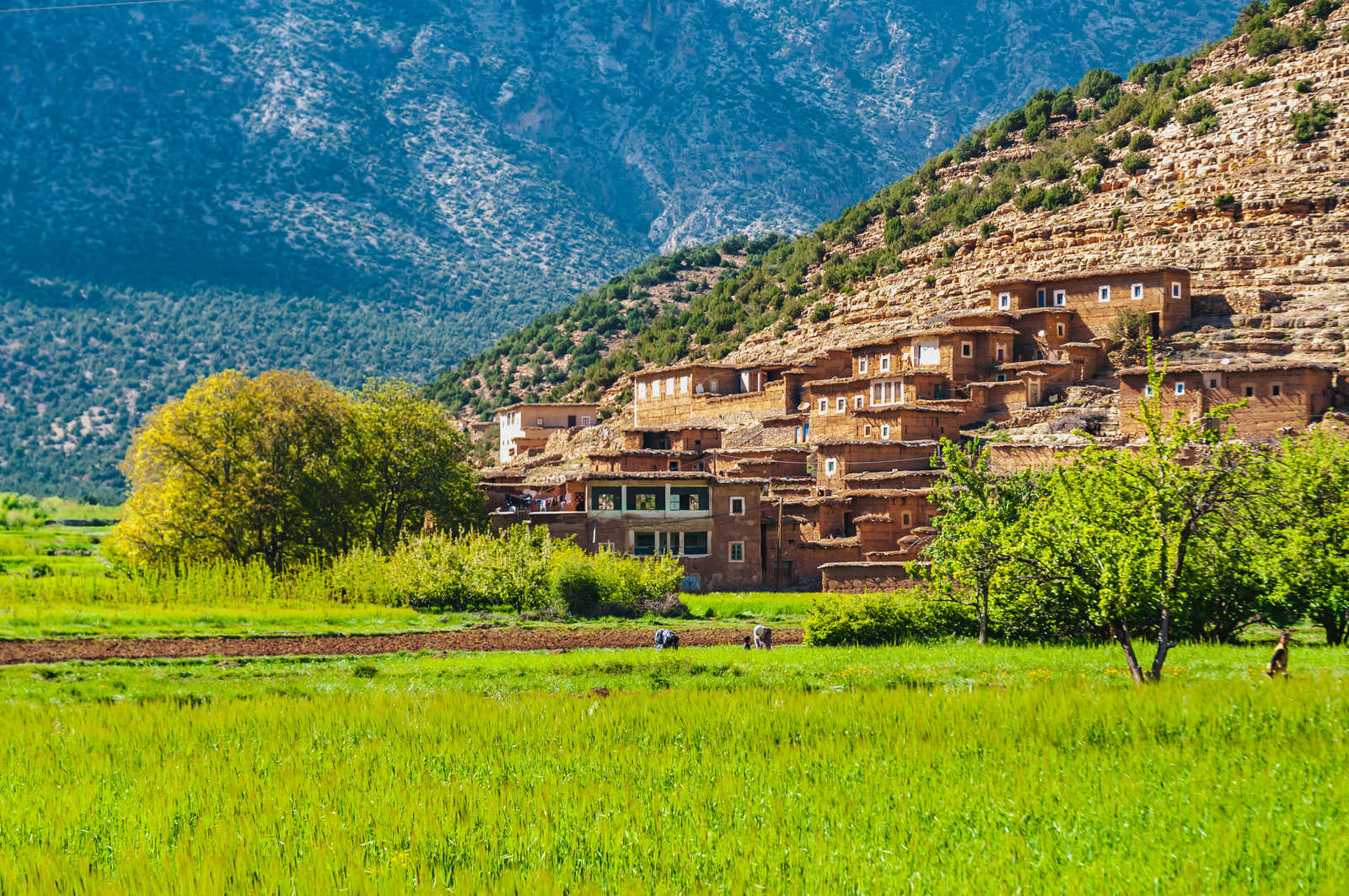 Vallée des Aït Bougmez, Haut Atlas Central, Maroc © Vincent Nicolas