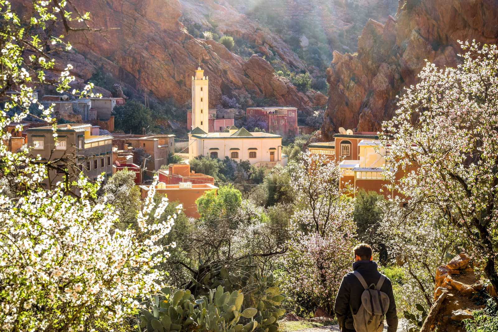 Vallée des Ameln, Anti-Atlas, Maroc © Shutter Stock