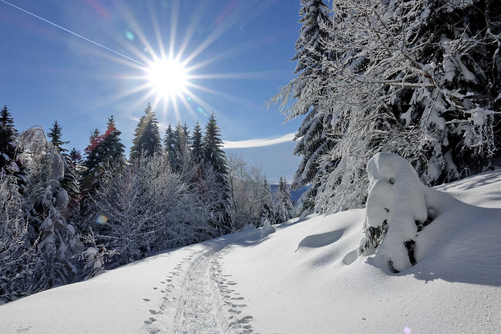 Vercors sous la neige © Patricia
