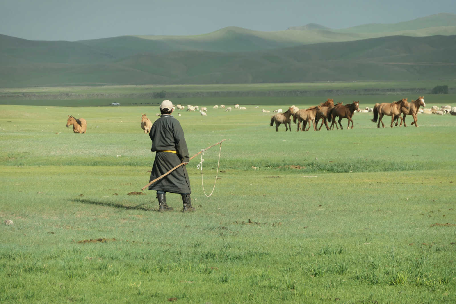Vie locale en Mongolie © Feuillet Benjamin