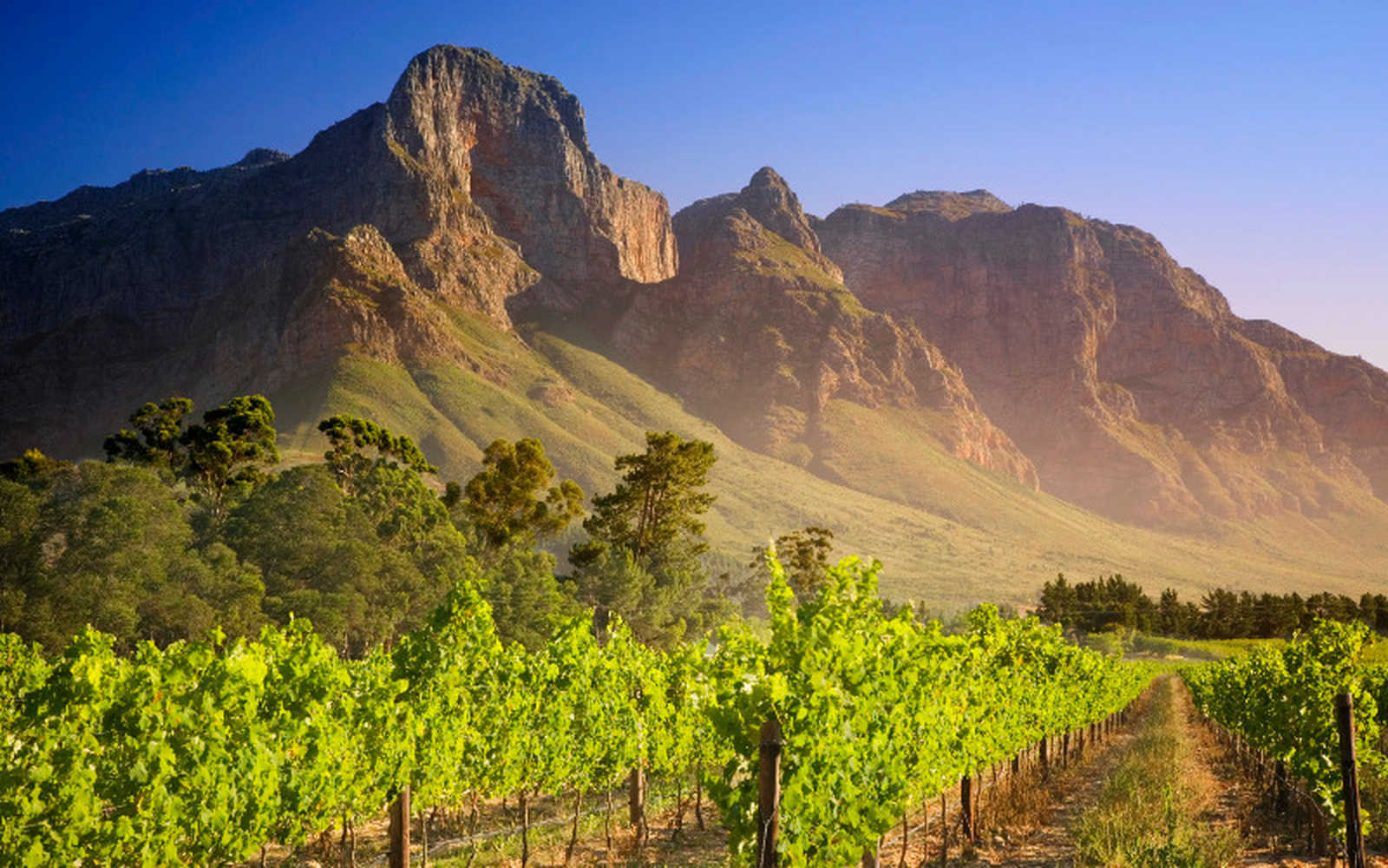 Vignoble Franschhoek en Afrique du sud © Terra South Africa