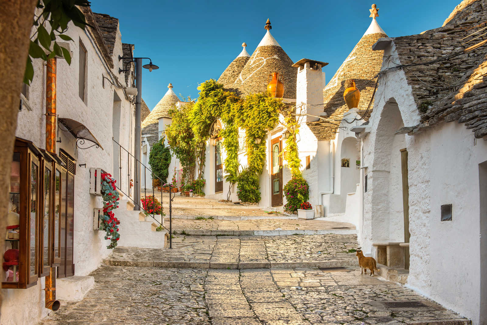 Village des Pouilles en Italie © Alberobello