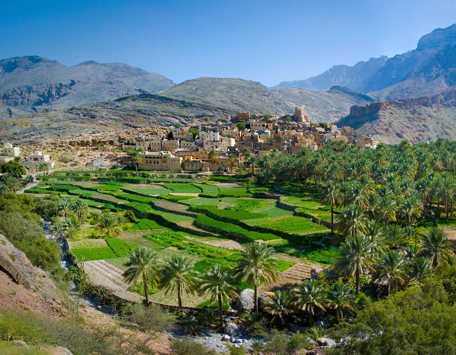 Village et palmeraie de Bilad Sayt, Oman © Belikova Oksana