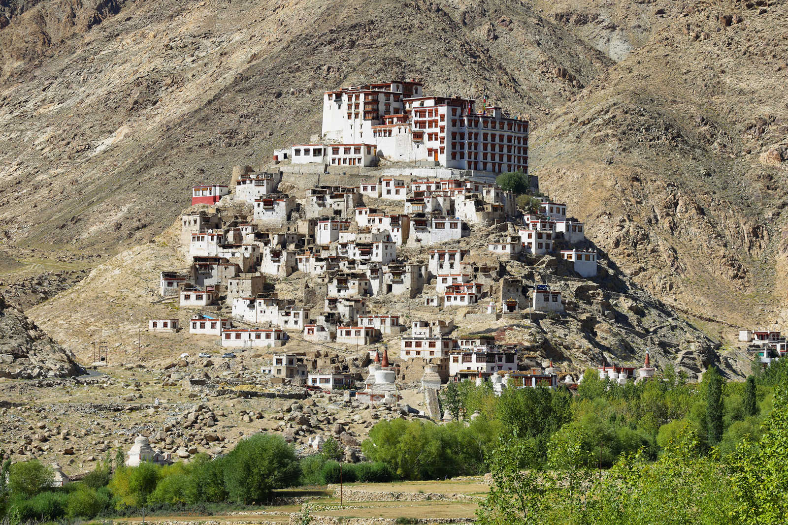 Village perché au Ladakh, Hemishukpachen, en Inde Himalayenne © Estivillml