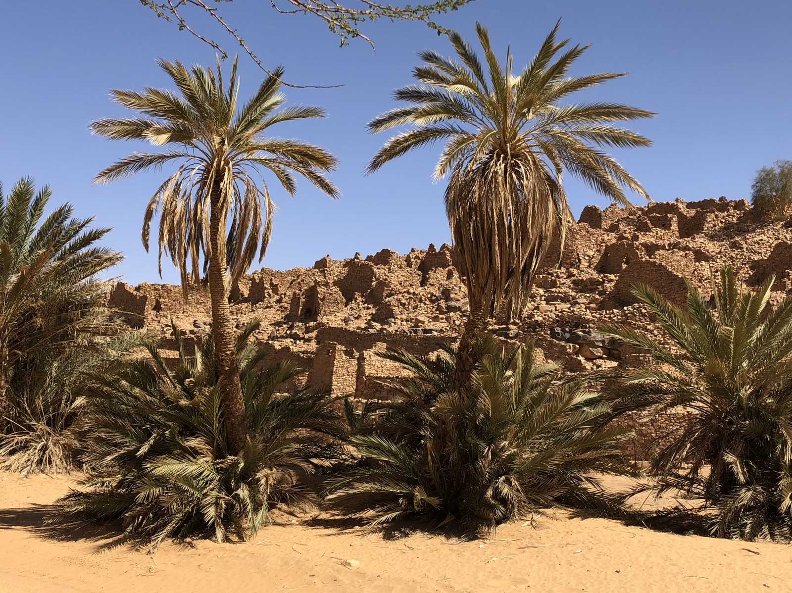 Ville caravanière de Ouadane en Mauritanie © Martin Laprade Nicolas