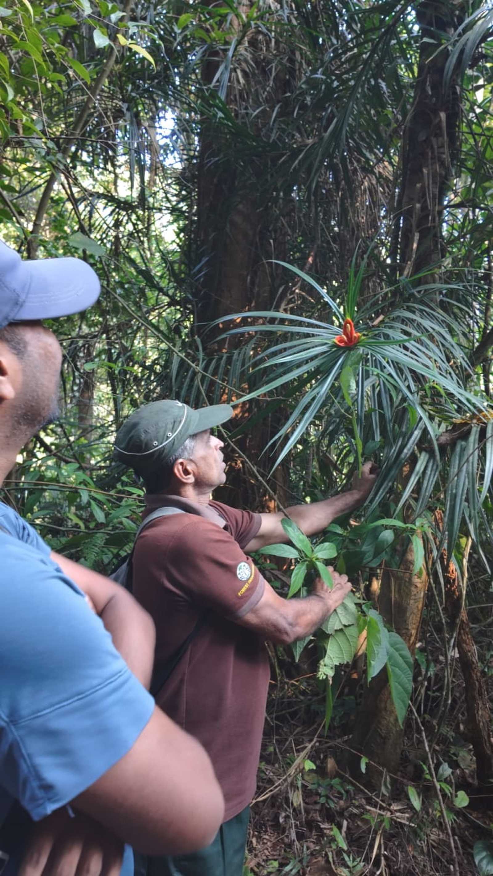Visite de la réserve de Sinharaja, classé à l'Unesco, au Sri Lanka © Levasseur Emma