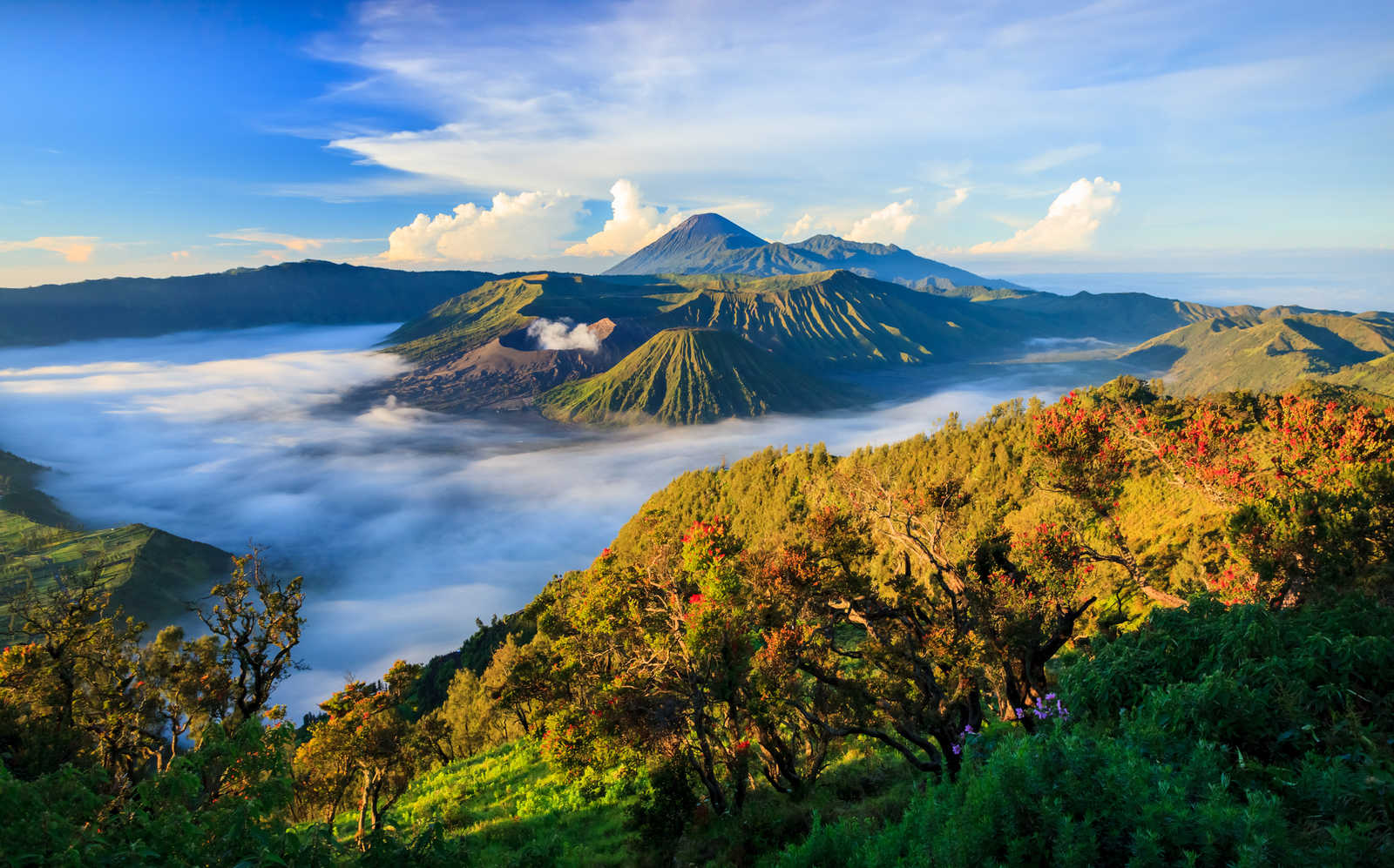 Volcan Bromo, Java, Indonésie © Ikunl
