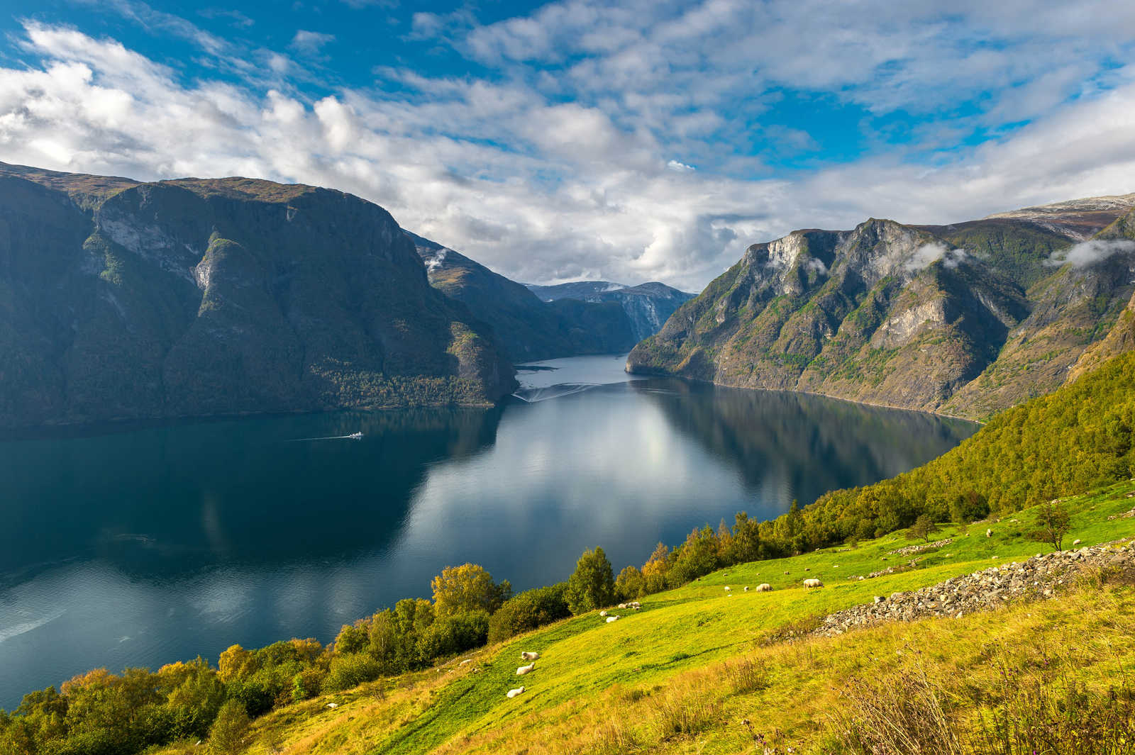 Sognefjord © Kontsurov Ihor