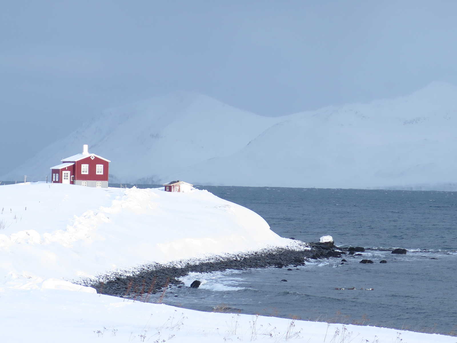 Image Raquettes entre mer et montagne en Islande