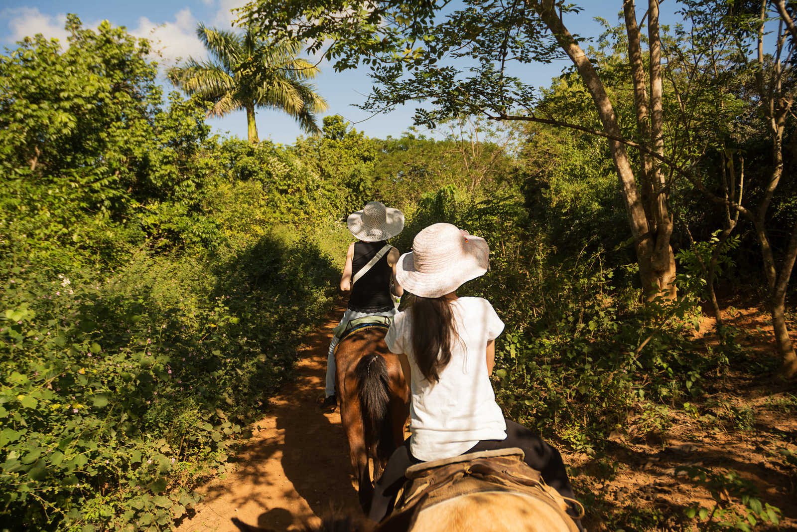Voyageurs lors d'une balade à cheval dans la ferme de Guabina à Cuba