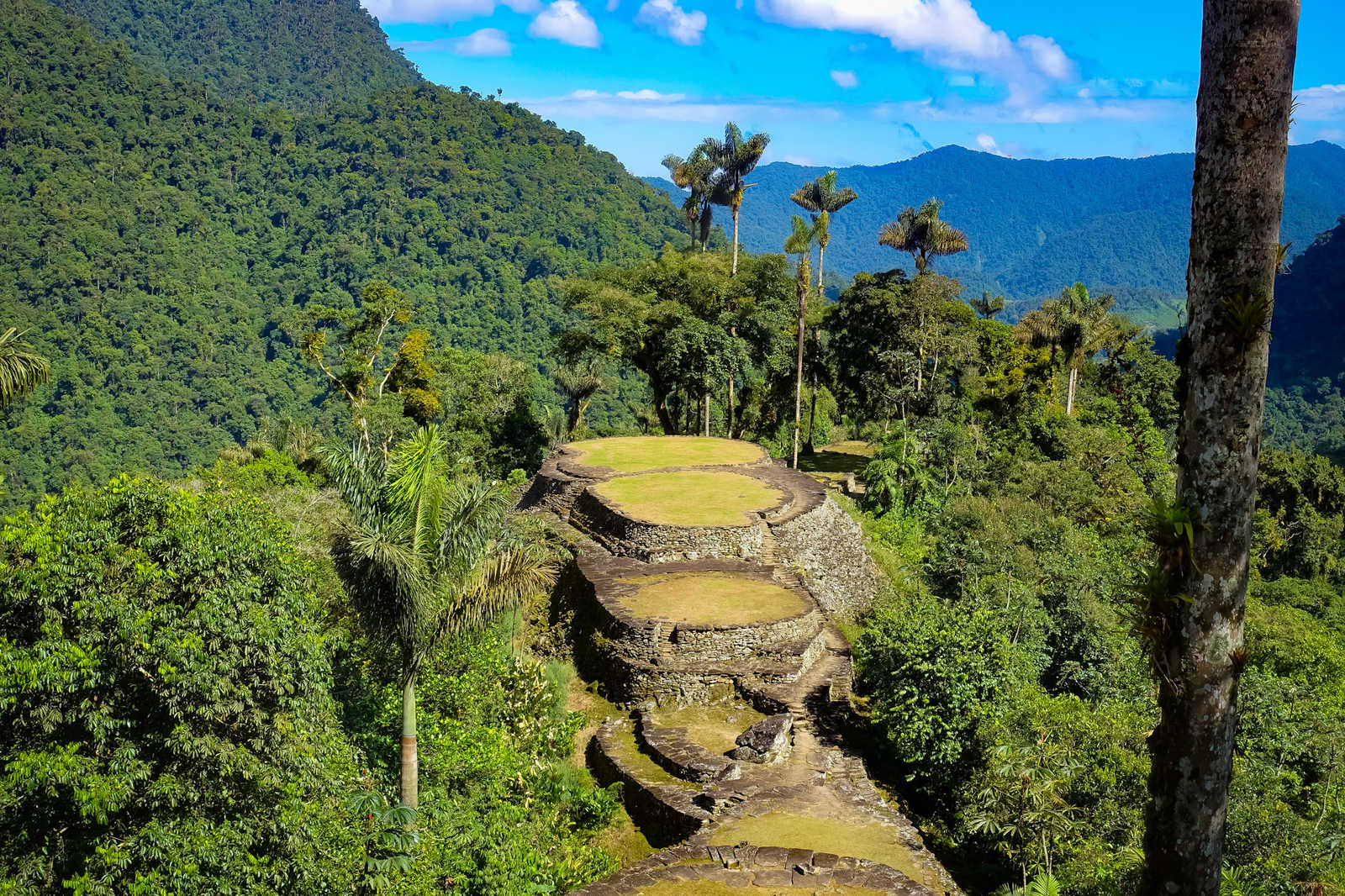 Vue aérienne de la Ciudad Perdida, Colombie © Jonas