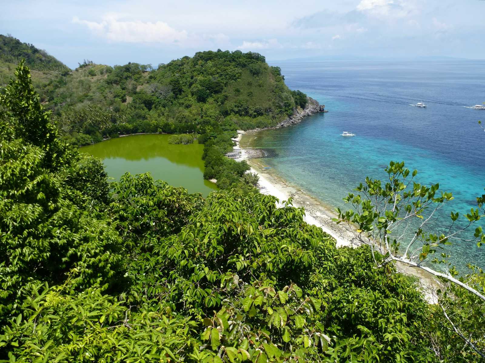 vue aérienne d'une plage sue Apo Island aux Philippines © Christian