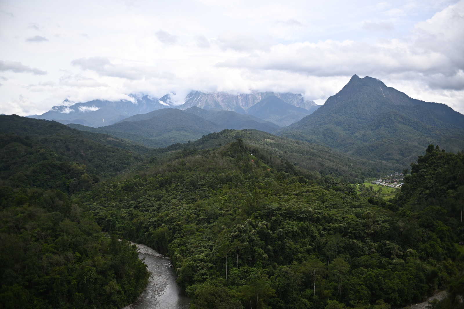 Vue sur la jungle © Lionel