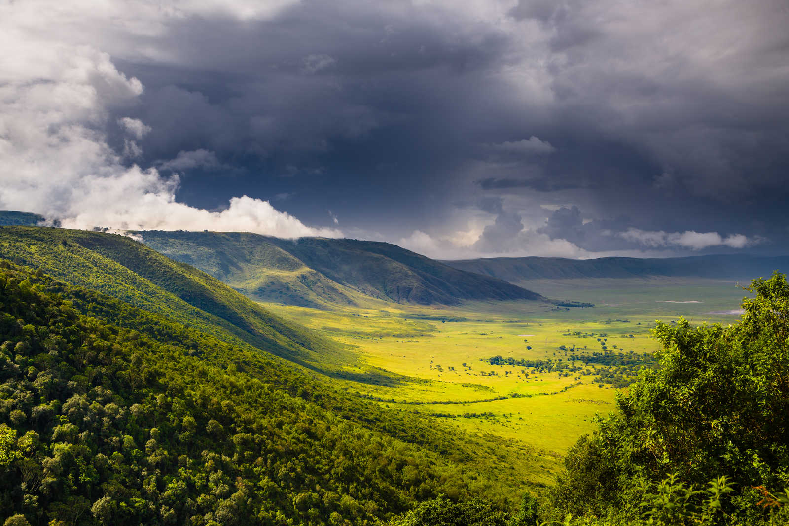 Vue sur le cratère du Ngorongoro en Tanzanie © Radek