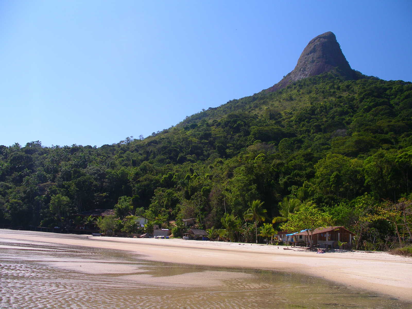 Vue sur le Pain de sucre à Paraty © D. BRUNO