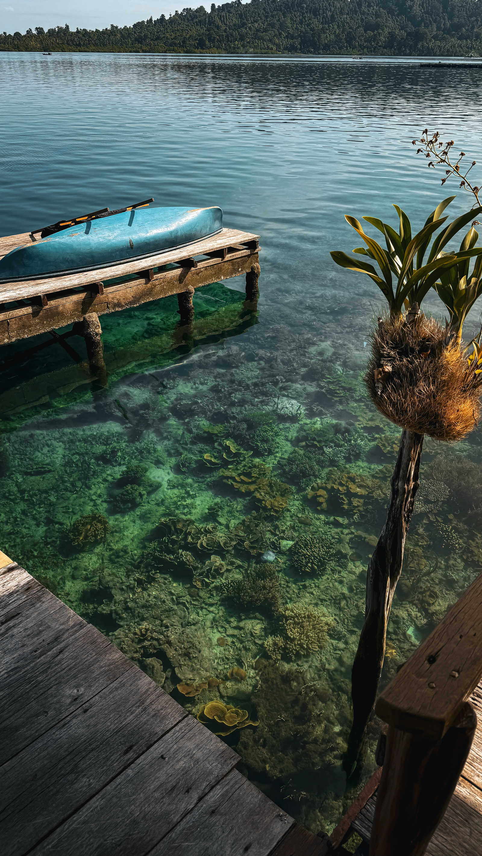 vue sur l'eau turquoise dans le village de Sawai sur l'île de Seram © Altaï Indonesia