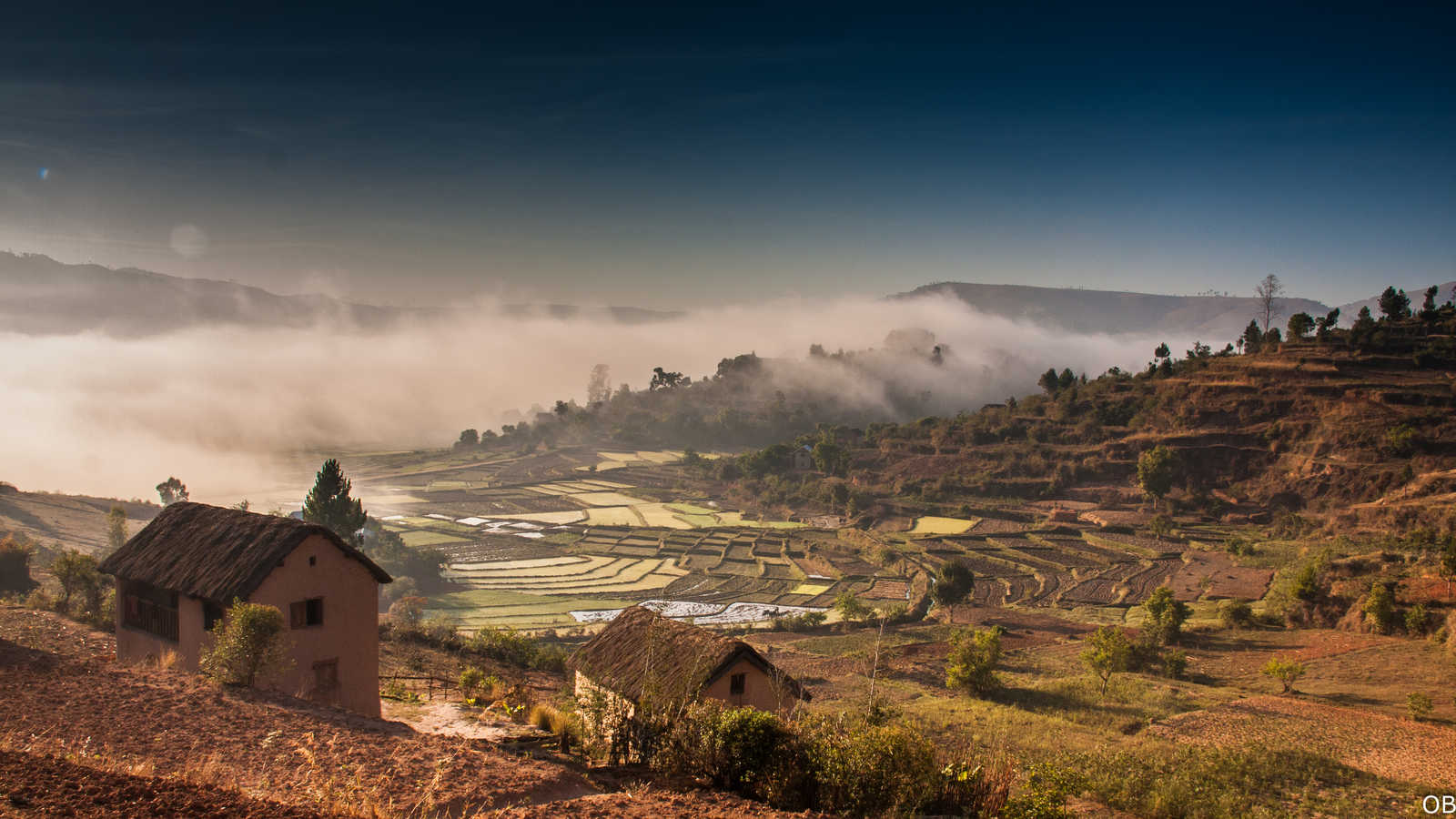 Vue sur les rizières à Madagascar © Bayle Olivier