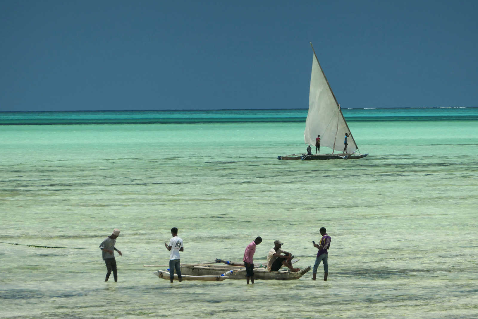 Image Safari et Zanzibar