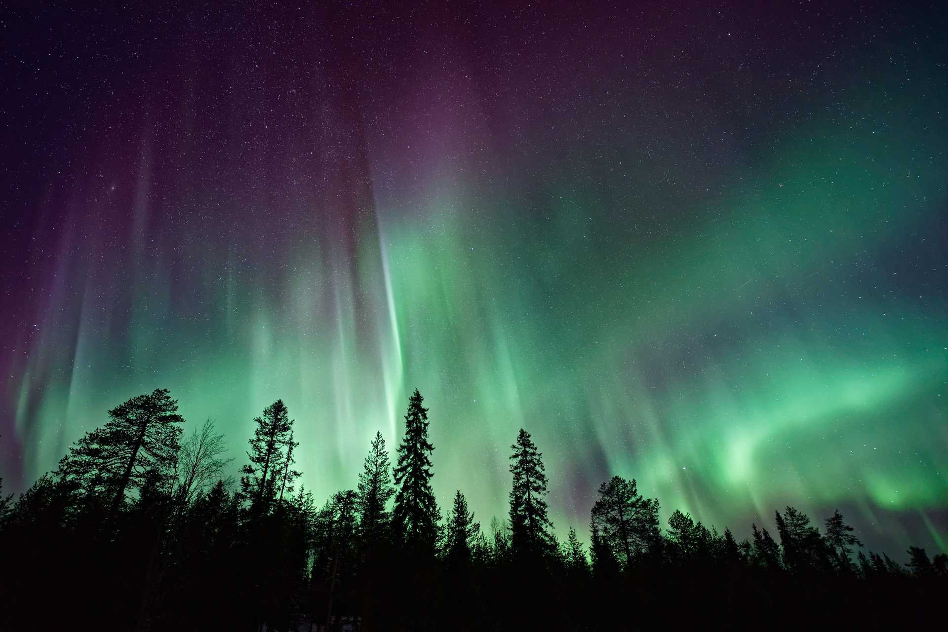 Aurores boréales l'hiver en Laponie, Finlande