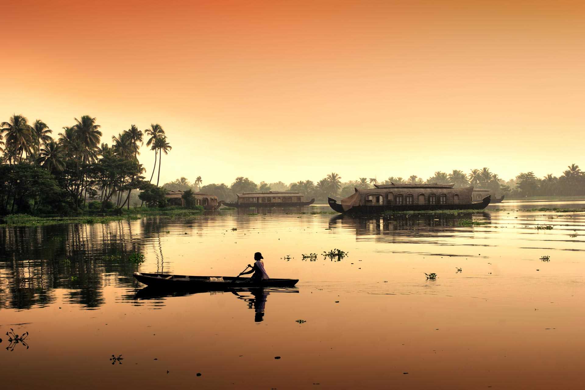 Barque et backwaters sur le fleuve dans le Kerala, dans le Sud de l'Inde