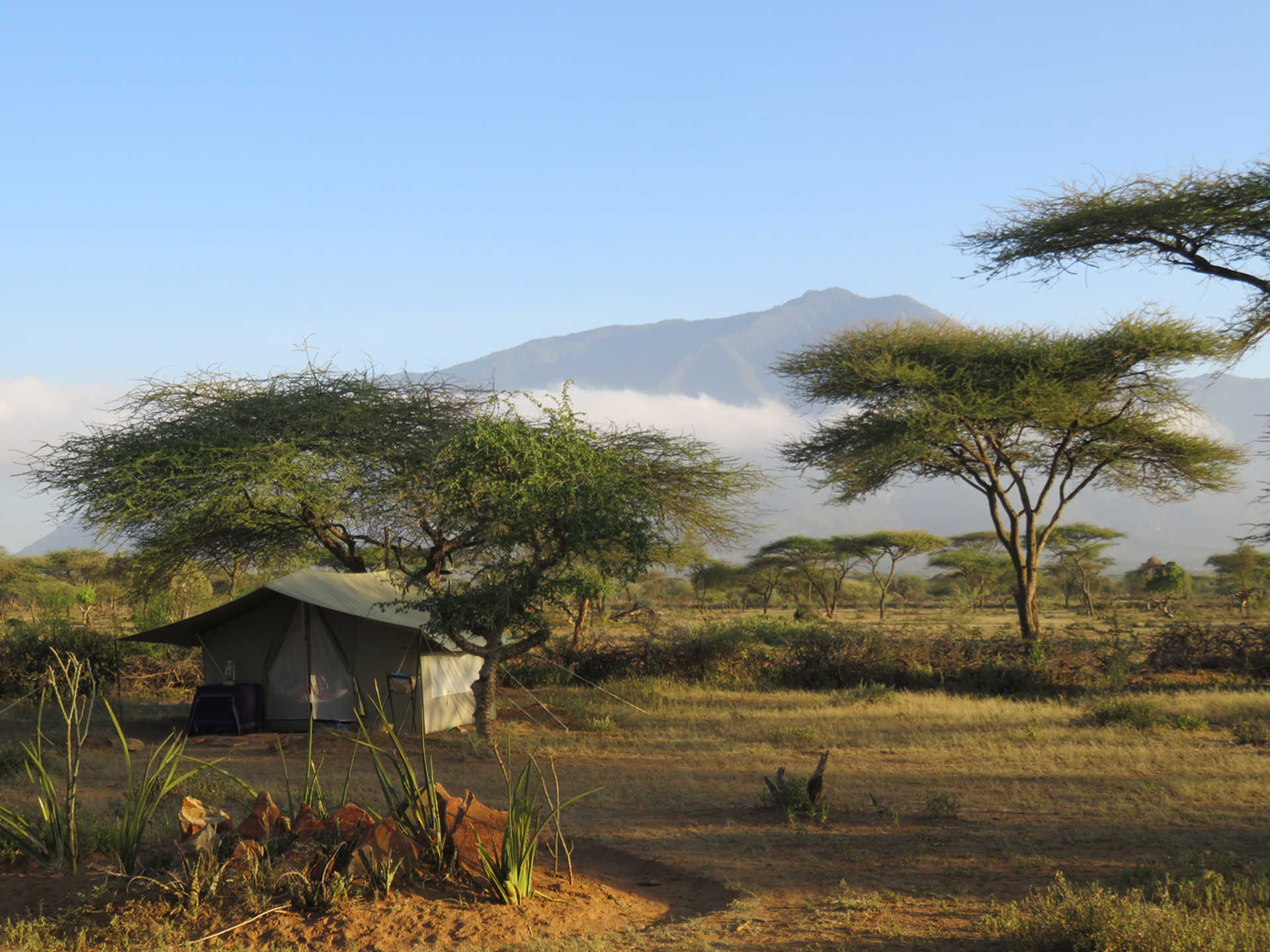 Bivouac au cœur de la savane en Tanzanie