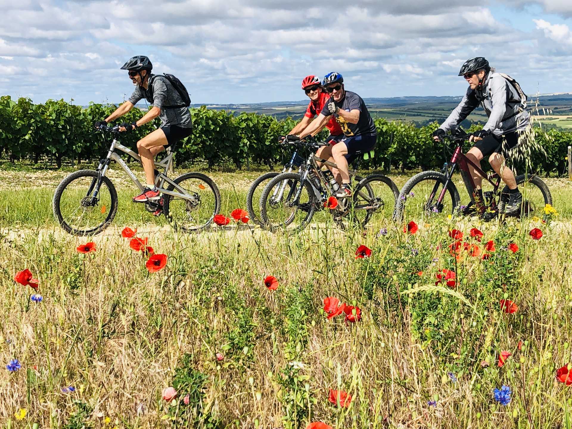 cyclistes dans la campagne entre les vignes et un champ fleuri